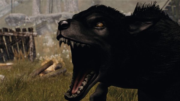Вервольф.. SKYRIM AE (сборка 10)