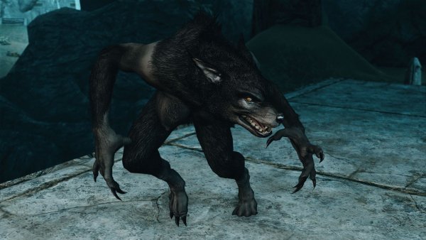 Мирроя в облике вервольфа.. SKYRIM AE (сборка 10)