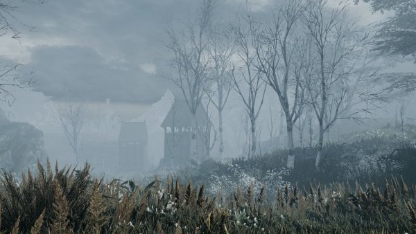 Туманный пейзажик.. SKYRIM AE (сборка 10)