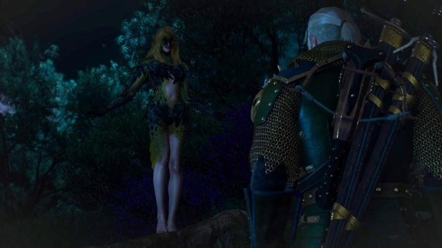 witcher3 2022-01-29 00-24-28-70.jpg