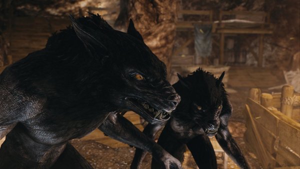 Вервольфы.. Skyrim SE (Тропики 7.0)