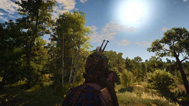 witcher3 2022-04-20 00-02-27-43.jpg