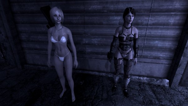 NewVegas20221106 20.14.46.jpg