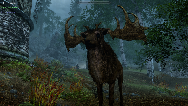 И чего смотришь  .png