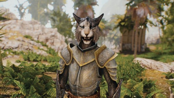 Подданый Эльсвеера в Скайрим ;)