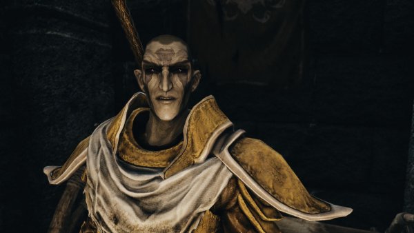 Командир стражи Телвани..