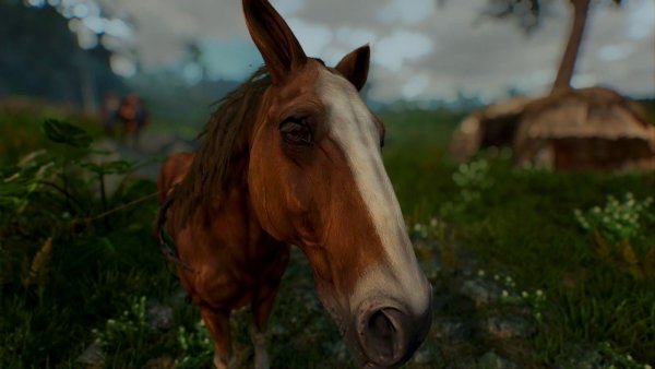 Лошадиная морда. Детализация. Skyrim SE (сборка 11)