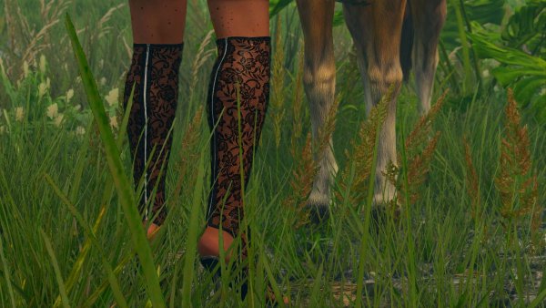 В траве.. Skyrim SE (сборка 11)