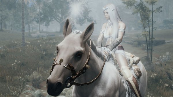 Принцесса Эллайна.. SKYRIM AE (сборка 10)