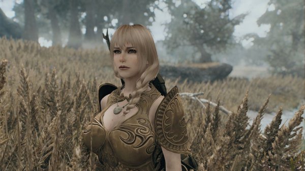 ЙОРДИС средь травы.. SKYRIM AE (сборка 10)