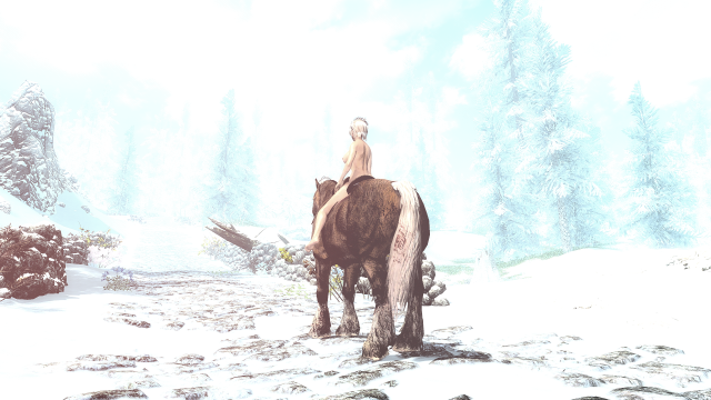 The Elder Scrolls V  Skyrim Special Edition Screenshot 2022.12.07 - 10.16.58.97.png