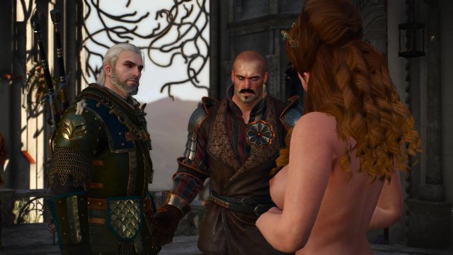 witcher3 2022-02-10 19-00-48-86.jpg