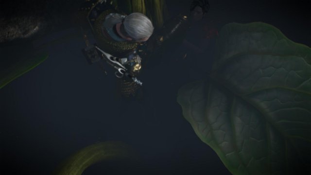 witcher3 2022-02-10 23-50-36-17.jpg