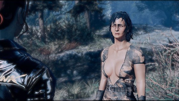 Поселенка.. Fallout-4 (Сборка 7.5)