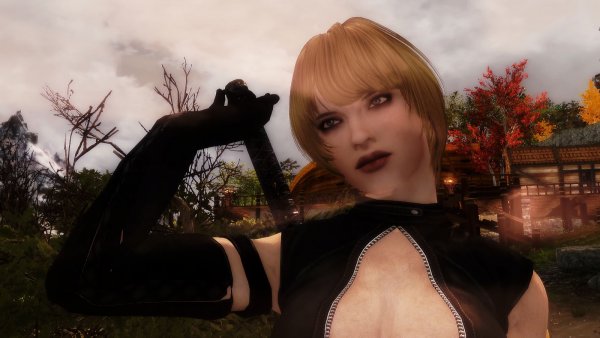 Skyrim LE тестовое