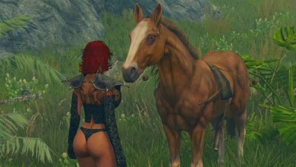 Корт и жеребец.. Skyrim SE (сборка 11)