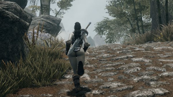 Бегом, к приключениям.. SKYRIM AE (сборка 10)