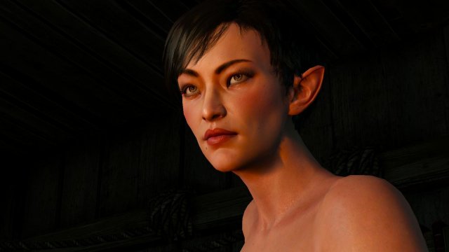 witcher3 2022-04-21 20-12-39-65.jpg