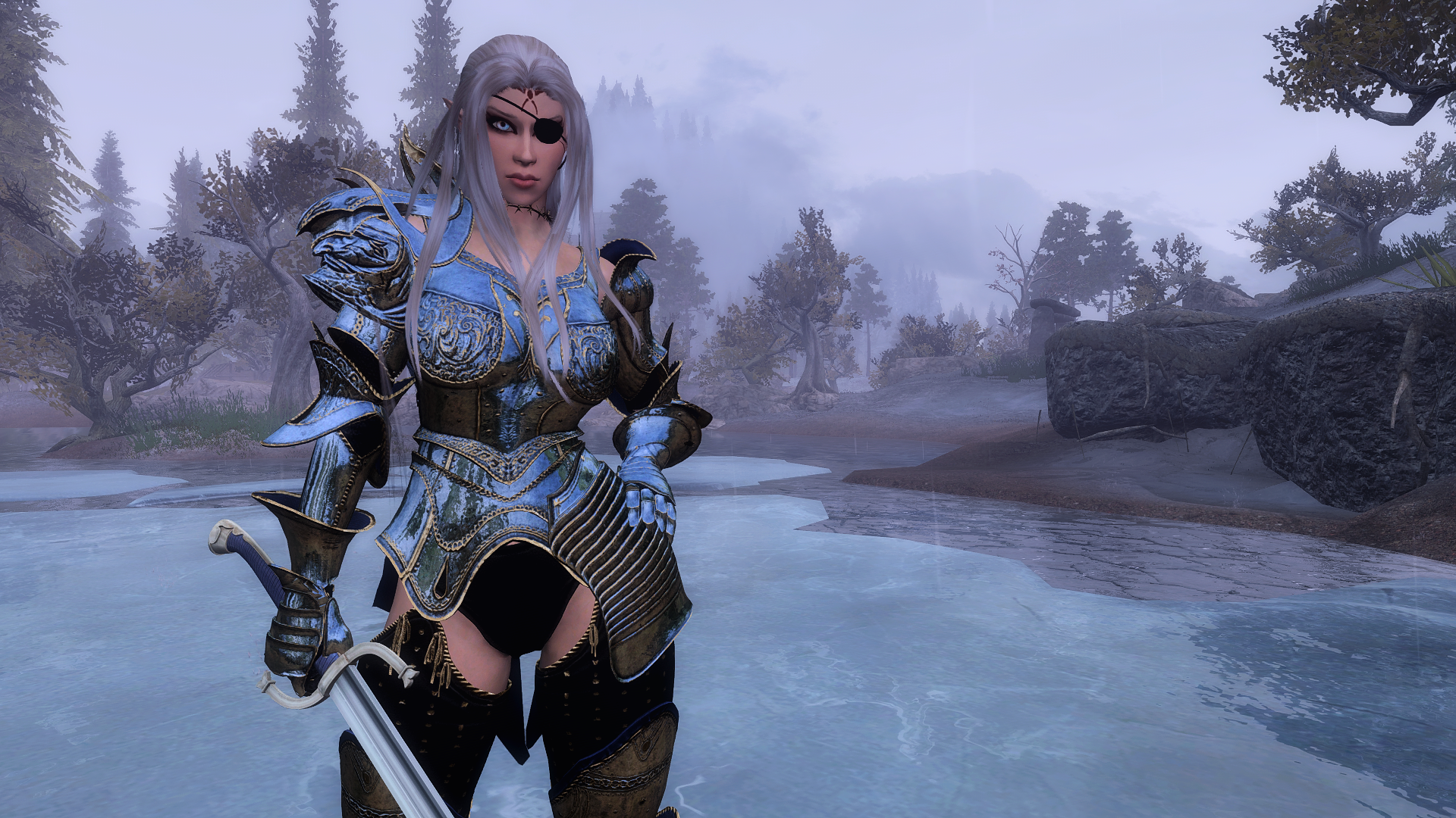 Skyrim 11.5 Char