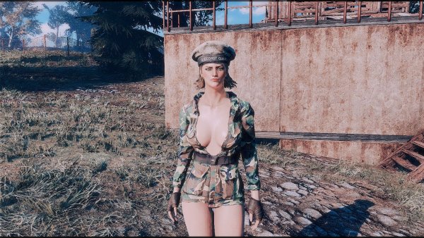 Поселенка.. Poselenia Windfire Fallout-4