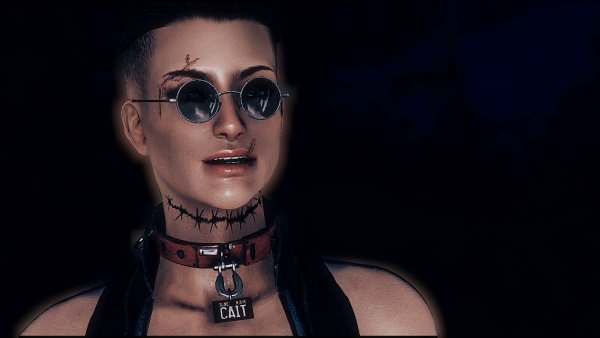 Харизматичная КЕЙТ.. Fallout-4 (Сборка 7.5)