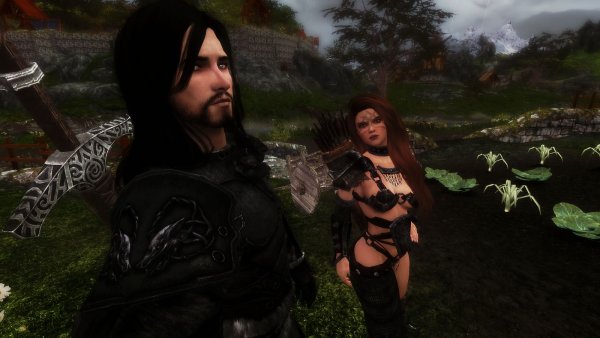 Соратники.. Skyrim LE тестовое