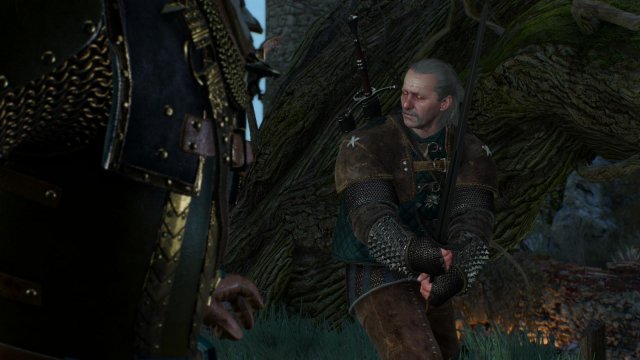 witcher3 2022-01-19 23-11-06-58.jpg