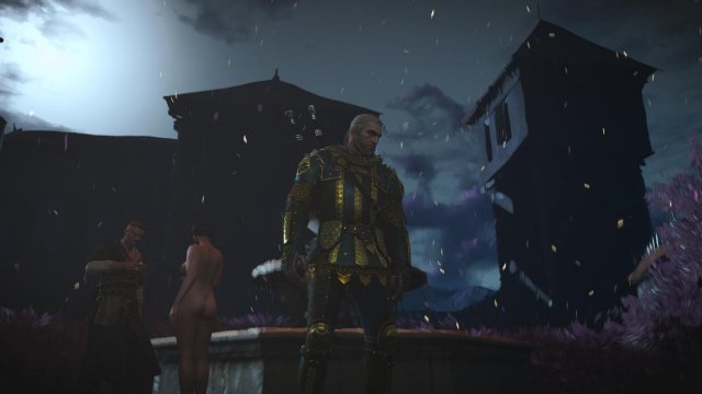 witcher3 2022-04-21 22-06-01-58.jpg