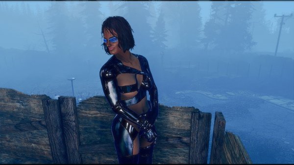 На страже поселения.. Poselenia Windfire Fallout-4