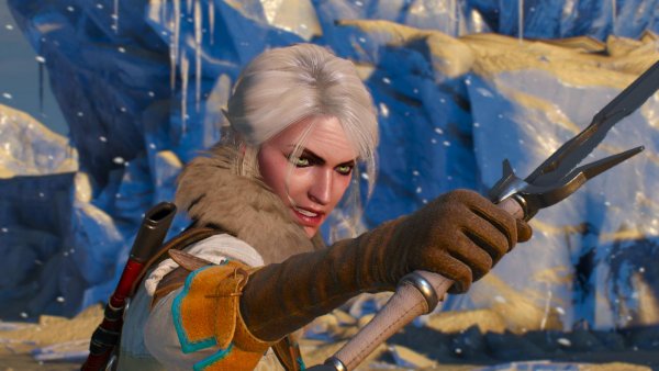 ЦИРИ бьется с Эредином. Ведьмак III