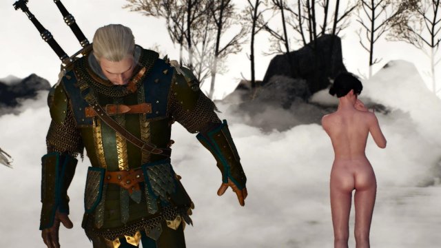 witcher3 2022-02-10 23-54-58-81.jpg