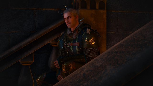 witcher3 2022-02-10 20-35-19-15.jpg