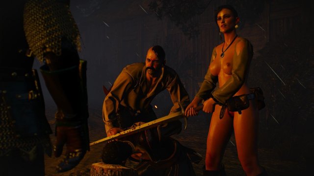 witcher3 2022-02-12 22-20-51-02.jpg