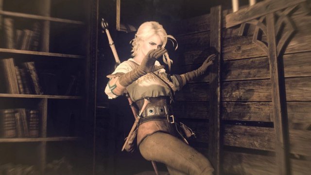 witcher3 2022-01-21 22-51-35-87.jpg