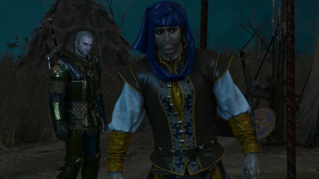 witcher3 2022-01-16 23-35-48-40.jpg