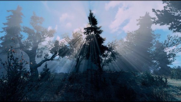 Тема - солнечных лучей.. Fallout-4 (Сборка 7.5)