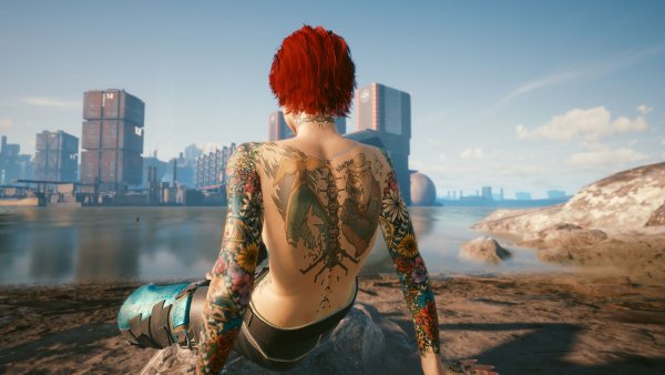 Вид на город.. Cyberpunk 2077 глазами Windfire