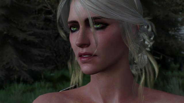 witcher3 2022-01-19 23-22-57-26.jpg