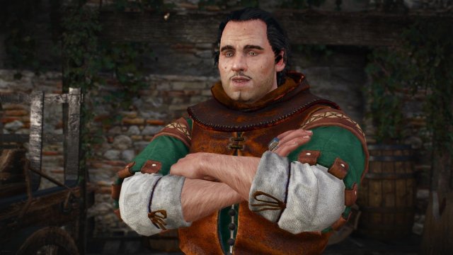 witcher3 2022-01-24 22-03-23-74.jpg