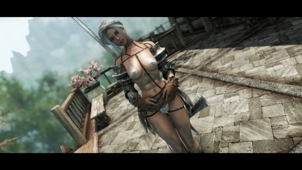 SkyrimAE Преемница Валенсии