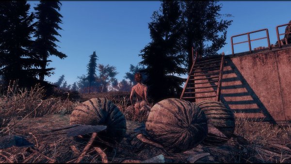 Арбузы.. Fallout-4 (Сборка 7.5)