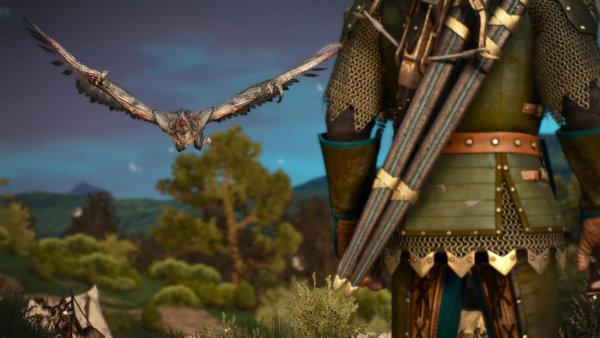 Эпичный кадр! Ведьмак III (сборка Торна)