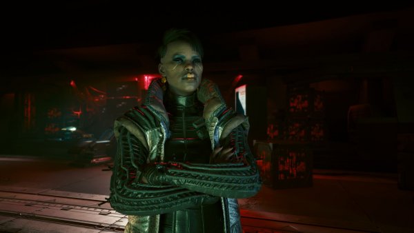 Главная вудуистка.. Cyberpunk 2077 глазами Windfire