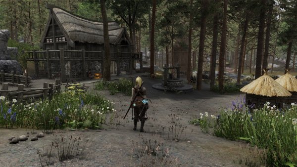 Ферма Довакина после квеста)