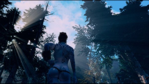 Попный пейзаж.. Fallout-4