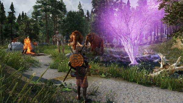 Сонное дерево)