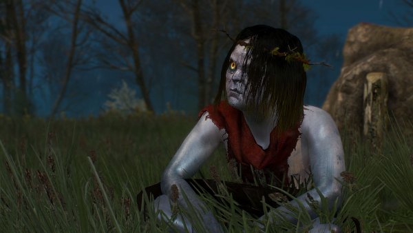 Прибожек по имени ИВАСИК.. Ведьмак III (сборка Торна)