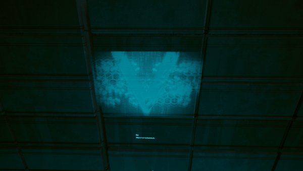 Cyberpunk 2077 Screenshot 2023.07.14 - 19.48.01.76.jpg