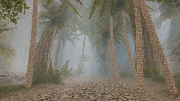 ТУМАННЫЙ Skyrim