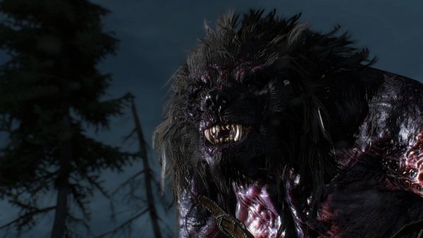 ВОЛКОЛАК, или монстры мира Ведьмак III (сборка Торна)